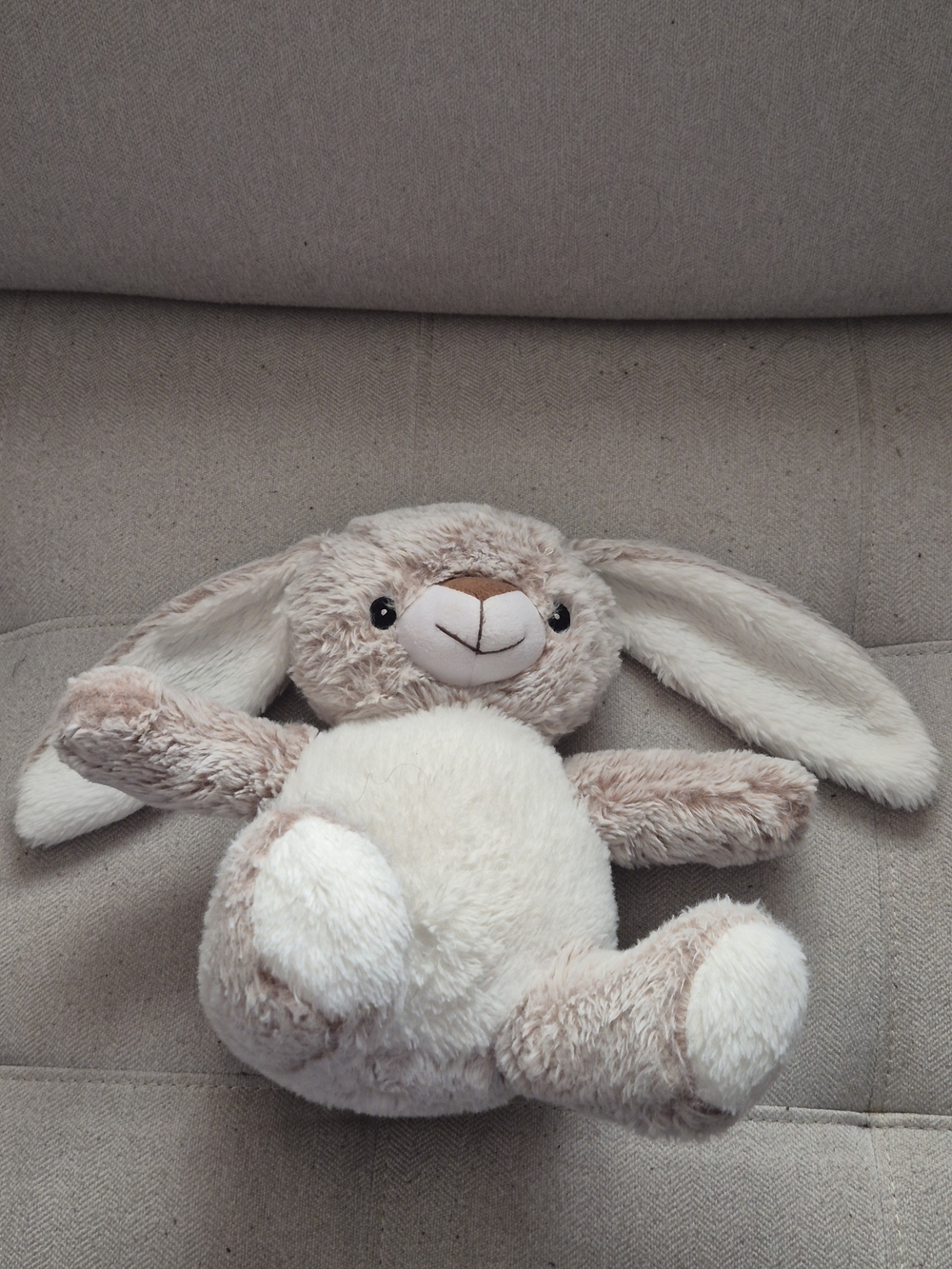Source Unknown Plush Bunny in Cream and Tan